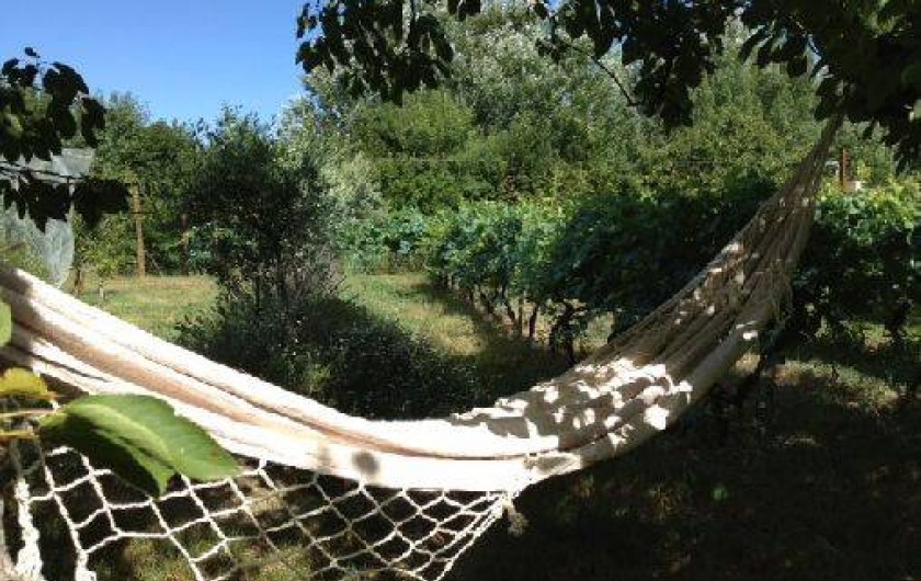 Location de vacances - Villa à Avignon