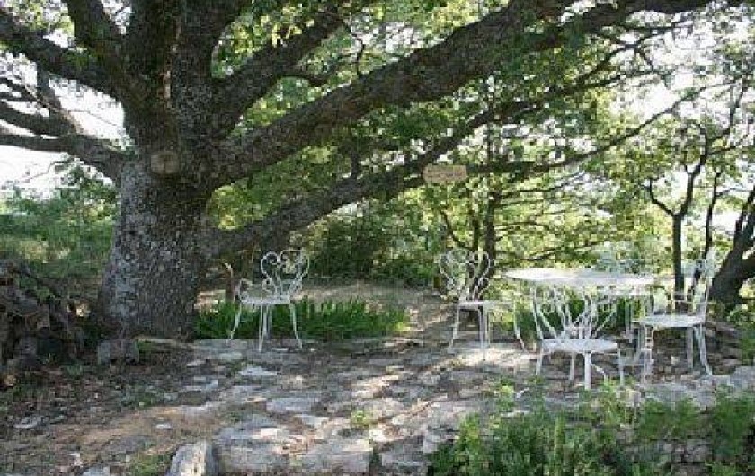 Location de vacances - Mas à Revest-des-Brousses