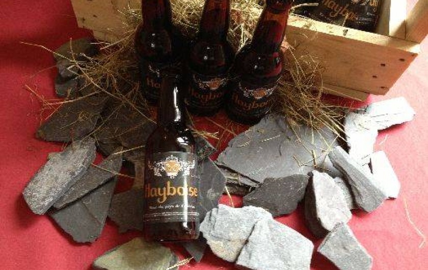 Location de vacances - Château - Manoir à Haybes