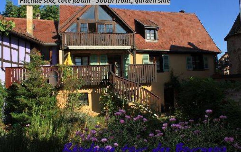 Location de vacances - Gîte à Ammerschwihr