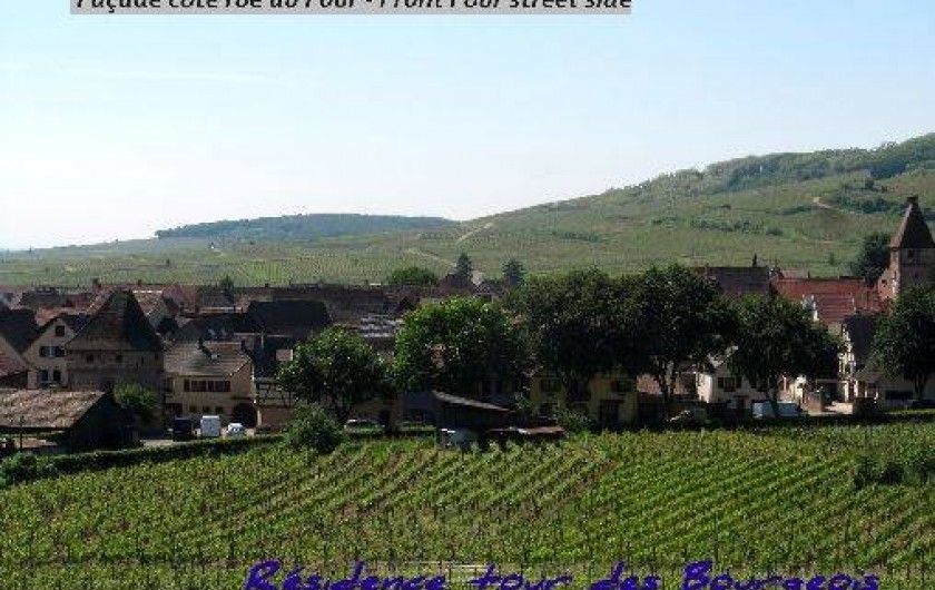 Location de vacances - Gîte à Ammerschwihr