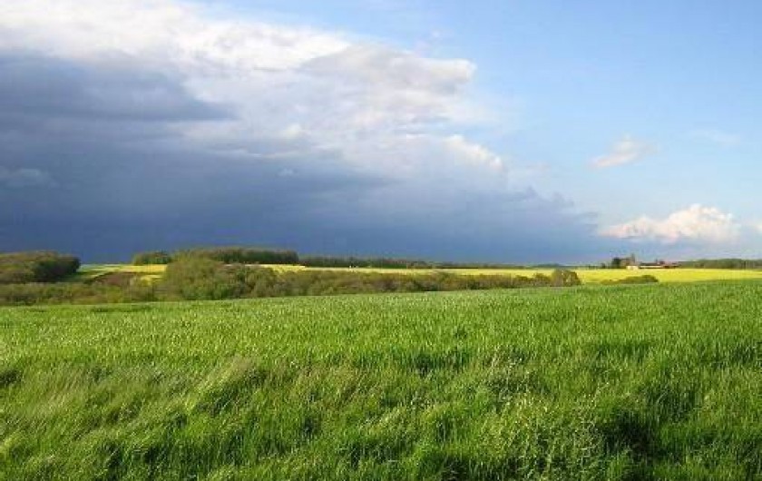 Location de vacances - Gîte à Vaudeurs