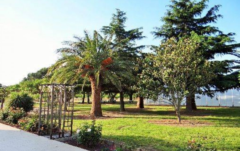 Location de vacances - Chambre d'hôtes à Ortaffa - Parc