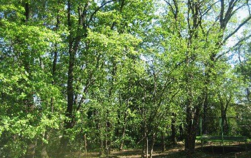 Location de vacances - Gîte à Durfort-et-Saint-Martin-de-Sossenac