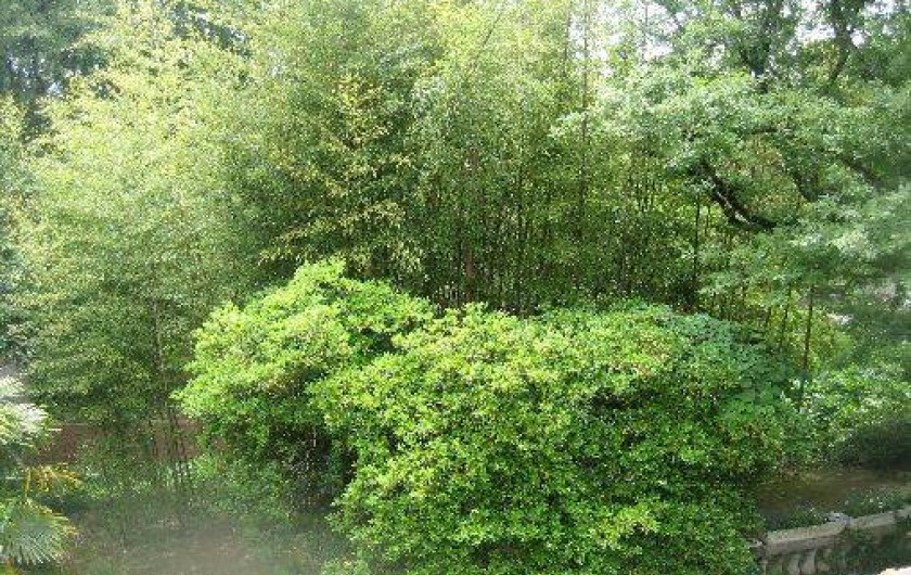 Location de vacances - Gîte à Durfort-et-Saint-Martin-de-Sossenac