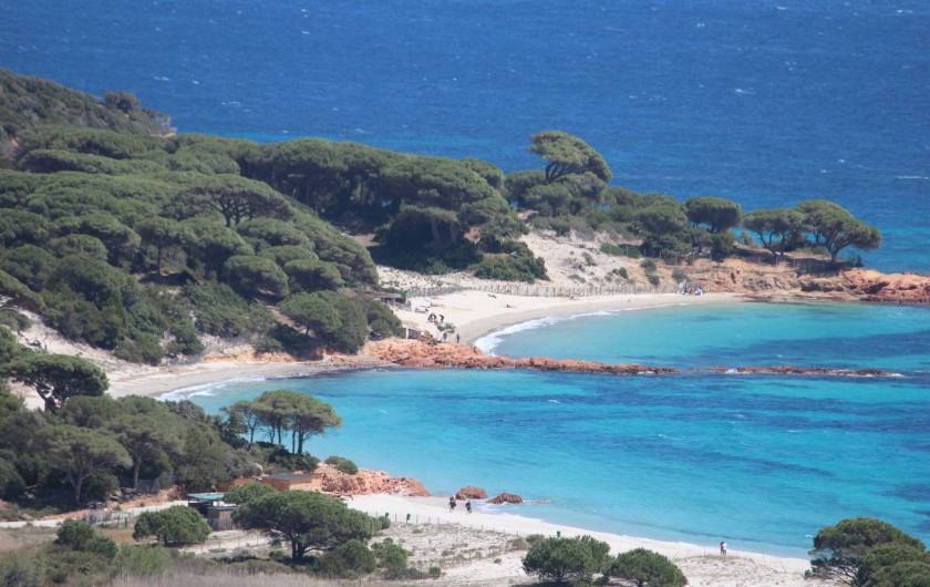 Location de vacances - Maison - Villa à Porto-Vecchio - Plage de Palombaggia