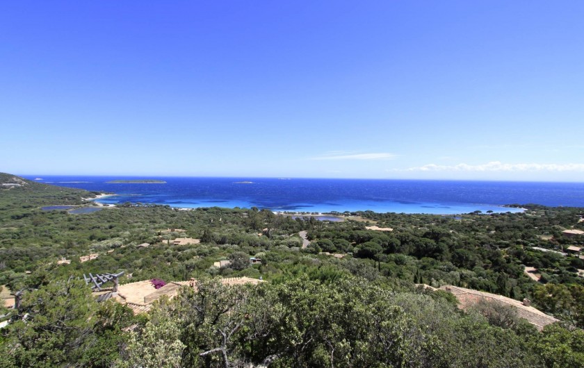 Location de vacances - Maison - Villa à Porto-Vecchio - Baie de Palombaggia