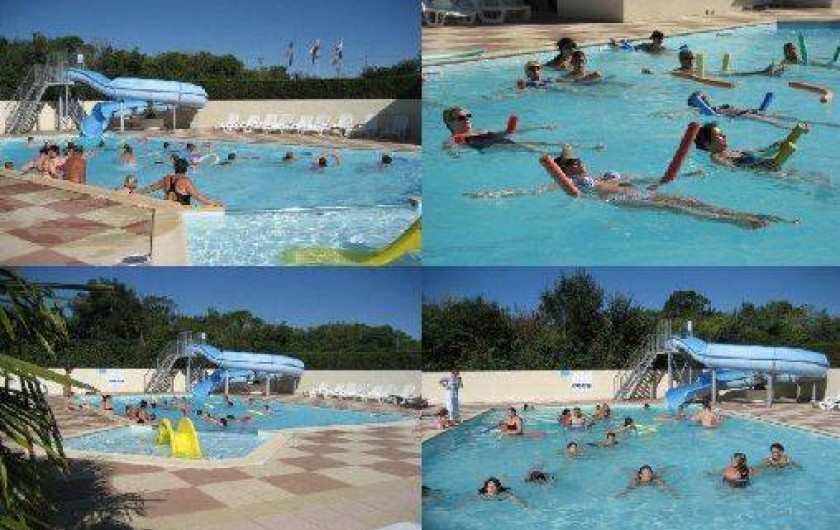 Location de vacances - Camping à Avrillé