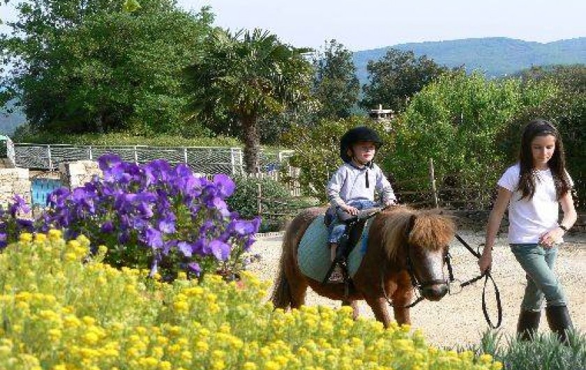 Location de vacances - Gîte à Sarlat-la-Canéda
