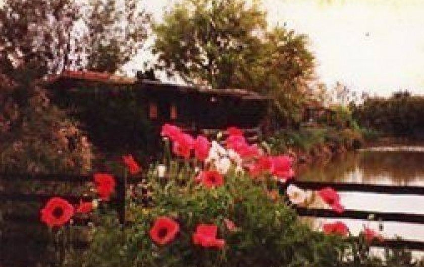 Location de vacances - Bungalow - Mobilhome à Portiragnes