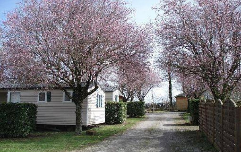 Location de vacances - Camping à Naucelle