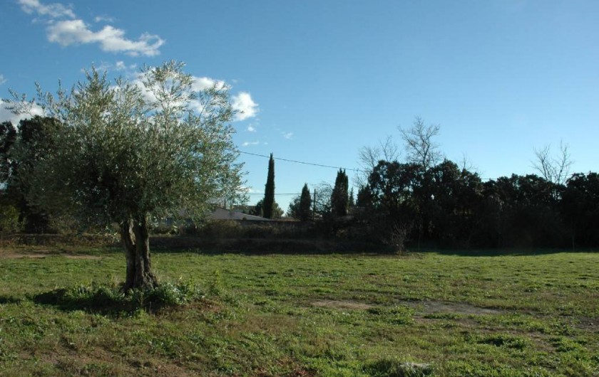 Location de vacances - Villa à Arles - Jardin