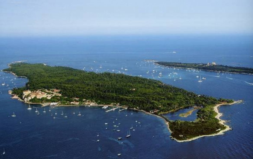 Location de vacances - Villa à Mandelieu-la-Napoule