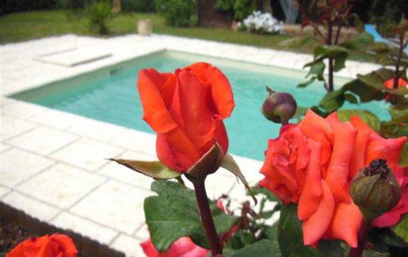 Location de vacances - Villa à Mandelieu-la-Napoule