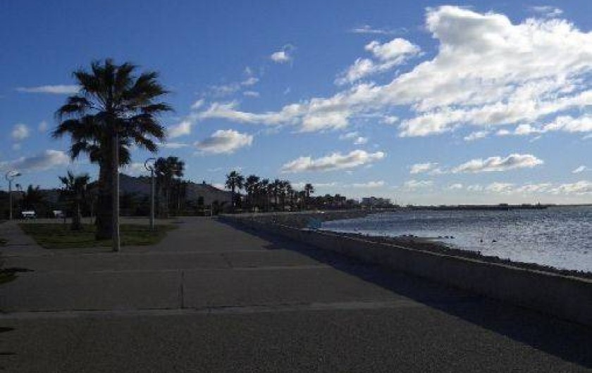 Location de vacances - Maison - Villa à Gruissan