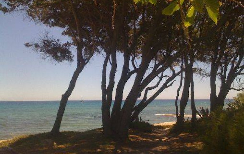 Location de vacances - Villa à Cervione