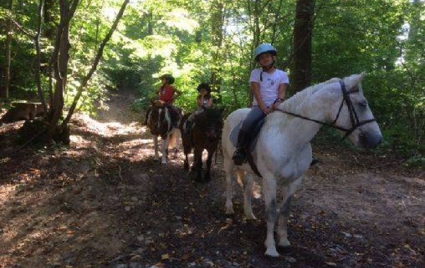 Location de vacances - Chalet à Curgy