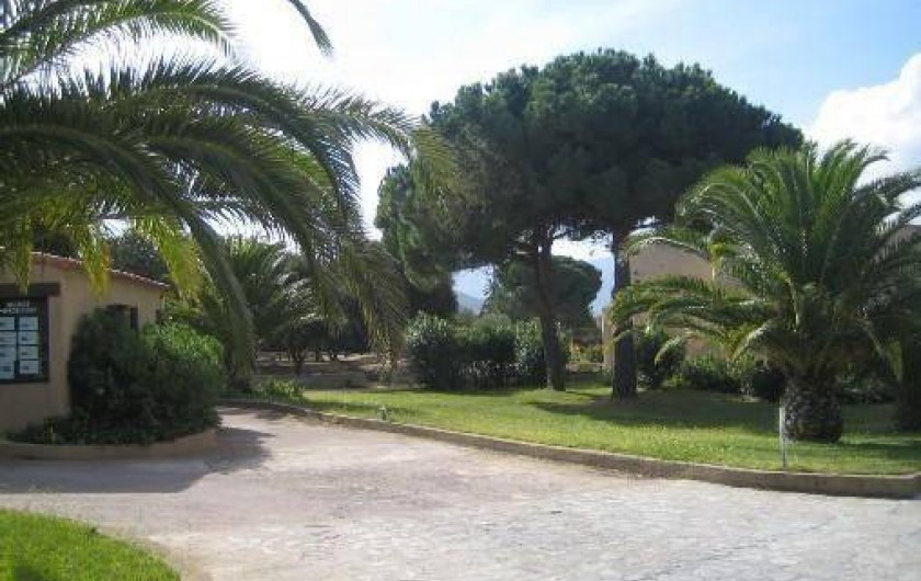 Location de vacances - Appartement à Lumio