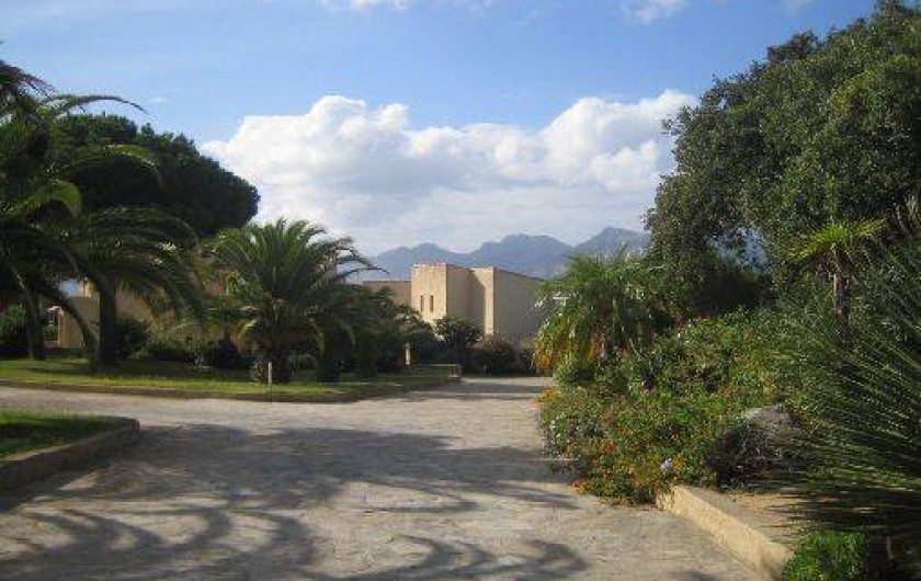 Location de vacances - Appartement à Lumio