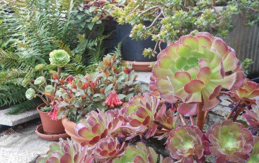 Location de vacances - Gîte à Douarnenez