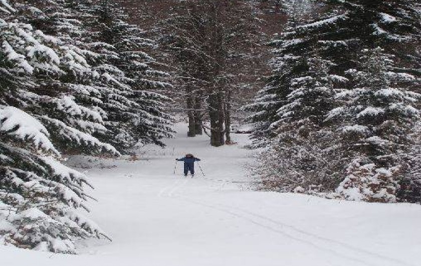 Location de vacances - Appartement à Laveissière