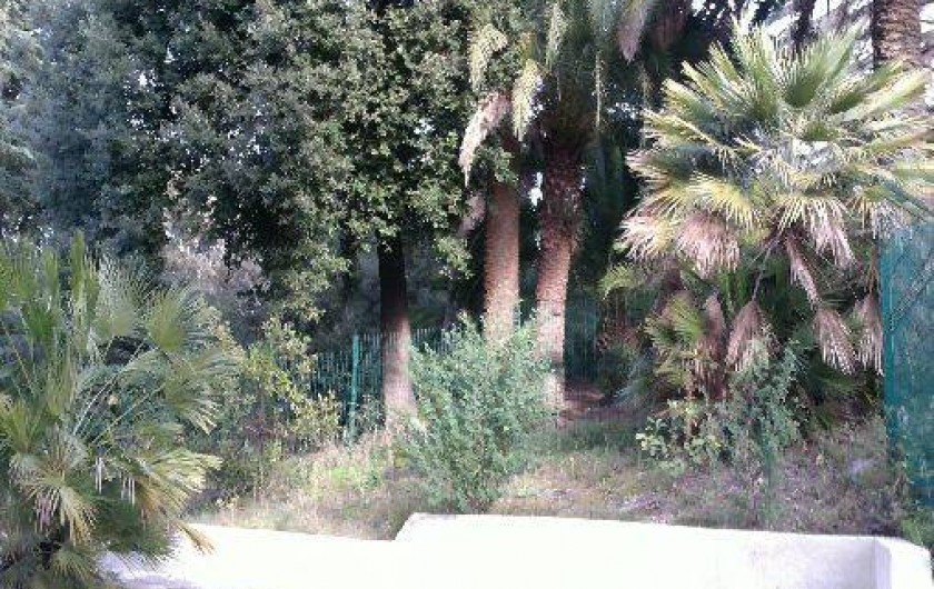 Location de vacances - Appartement à Cannes