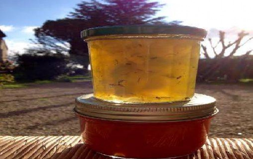 Location de vacances - Chambre d'hôtes à Violes