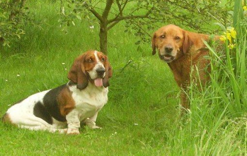 Location de vacances - Gîte à Savigné-sous-le-Lude