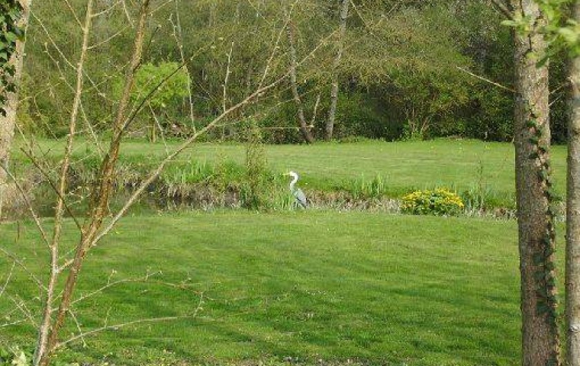Location de vacances - Gîte à Savigné-sous-le-Lude