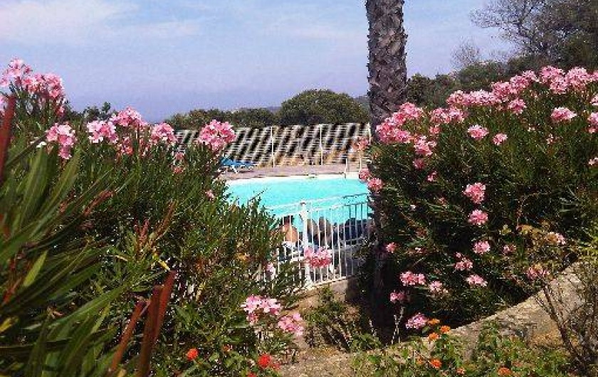 Location de vacances - Appartement à Lumio