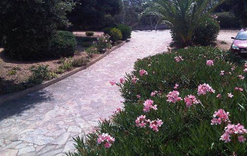 Location de vacances - Appartement à Lumio