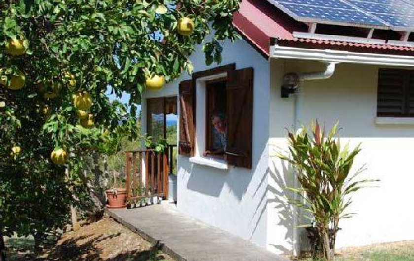 Location de vacances - Gîte à Vieux Habitants