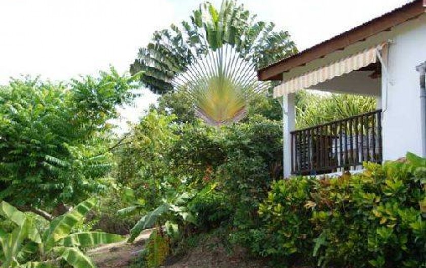 Location de vacances - Gîte à Vieux Habitants