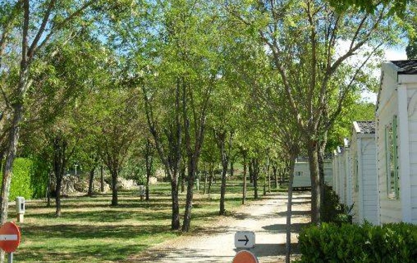 Location de vacances - Camping à Saint-Remèze
