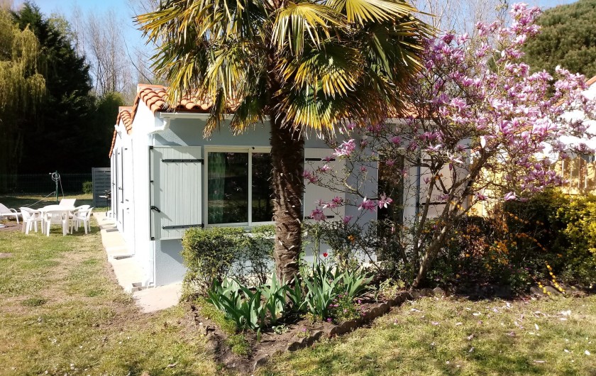 Location de vacances - Gîte à Chaillevette - vu sur le jardinet et la chambre (2)