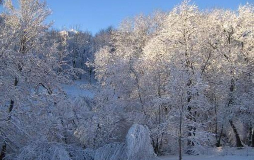 Location de vacances - Chalet à Garin
