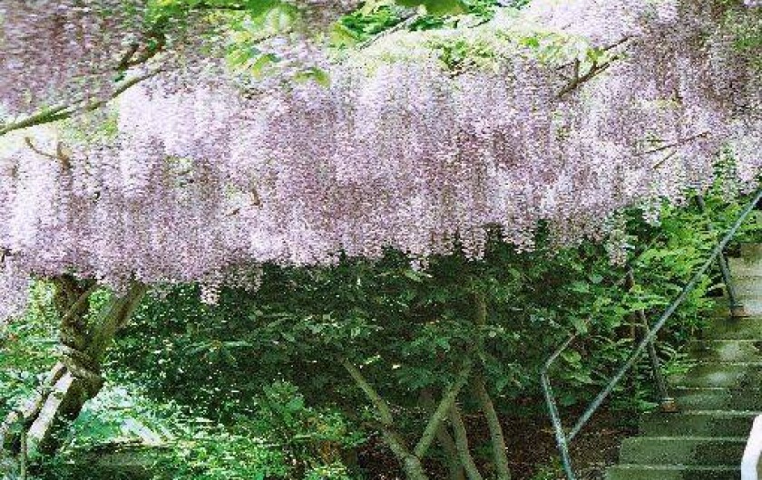 Location de vacances - Gîte à Monestiés