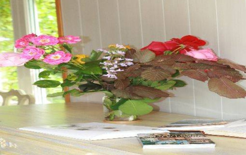 Location de vacances - Gîte à Monestiés