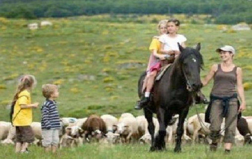 Location de vacances - Villa à Les Salelles