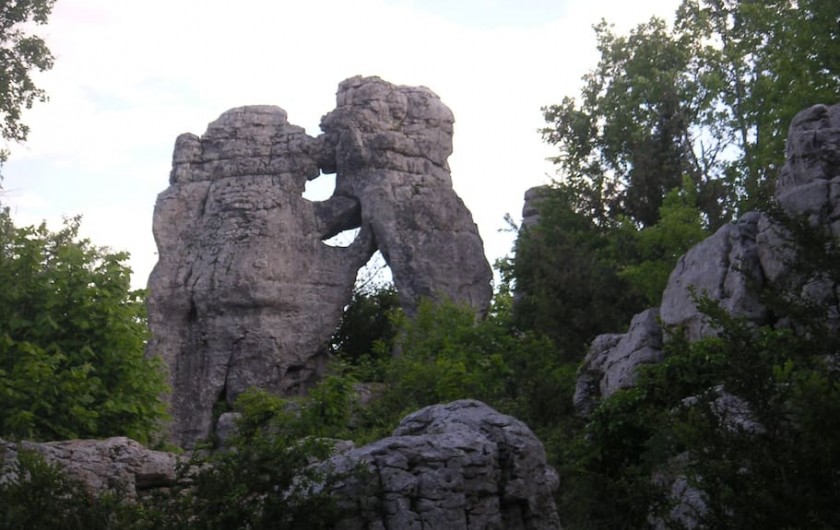 Location de vacances - Villa à Les Salelles - le lion et l'ours randonnée au bois de païolive