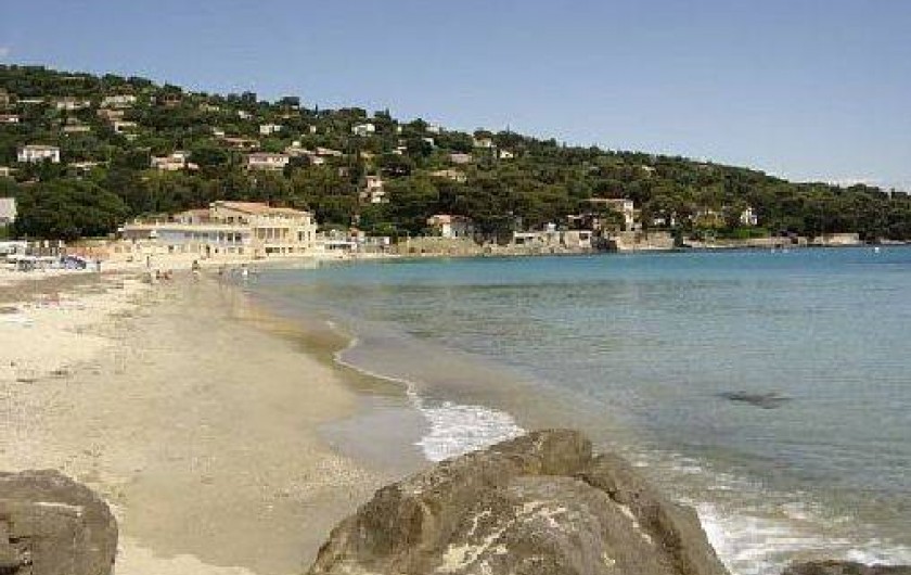 Location de vacances - Appartement à Le Lavandou