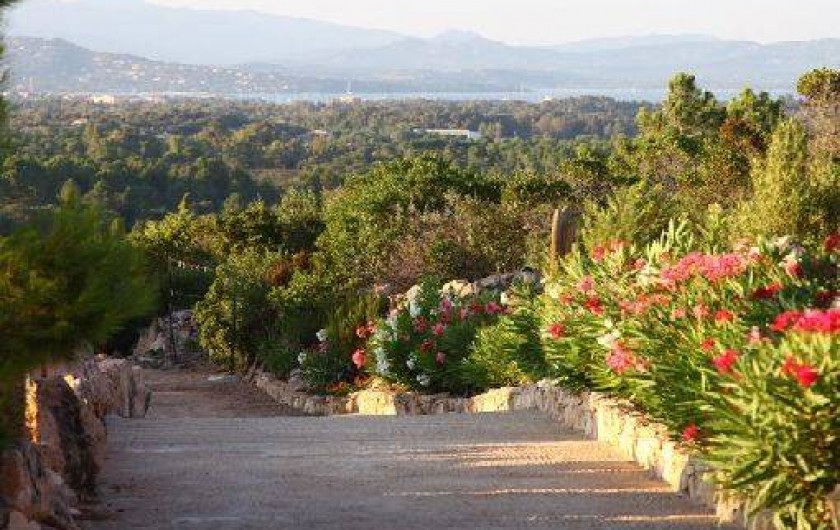 Location de vacances - Villa à Porto-Vecchio