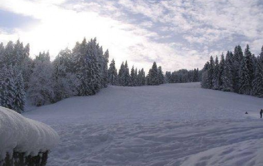 Location de vacances - Appartement à Les Gets - Vue depuis le séjour