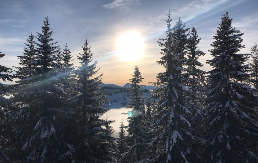 Location de vacances - Appartement à Les Gets