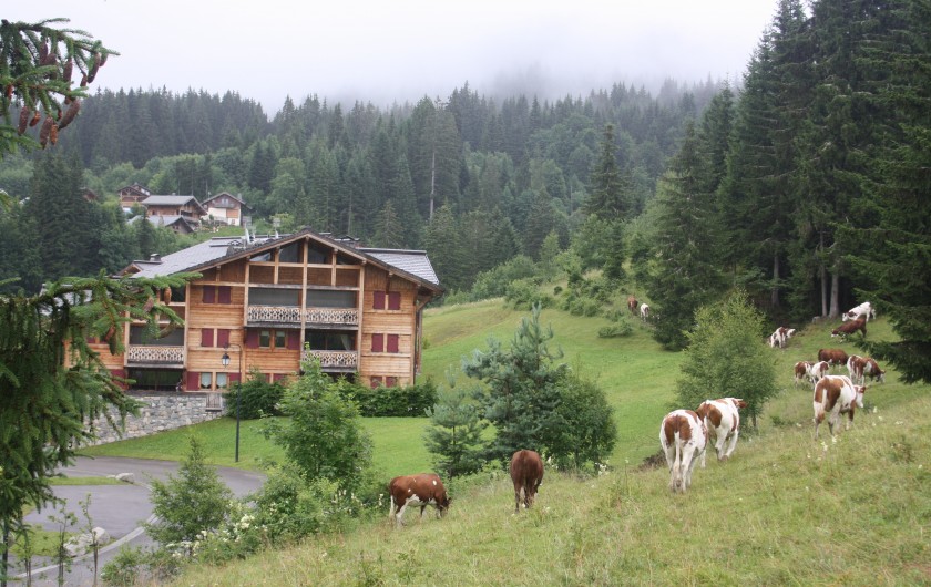 Location de vacances - Appartement à Les Gets