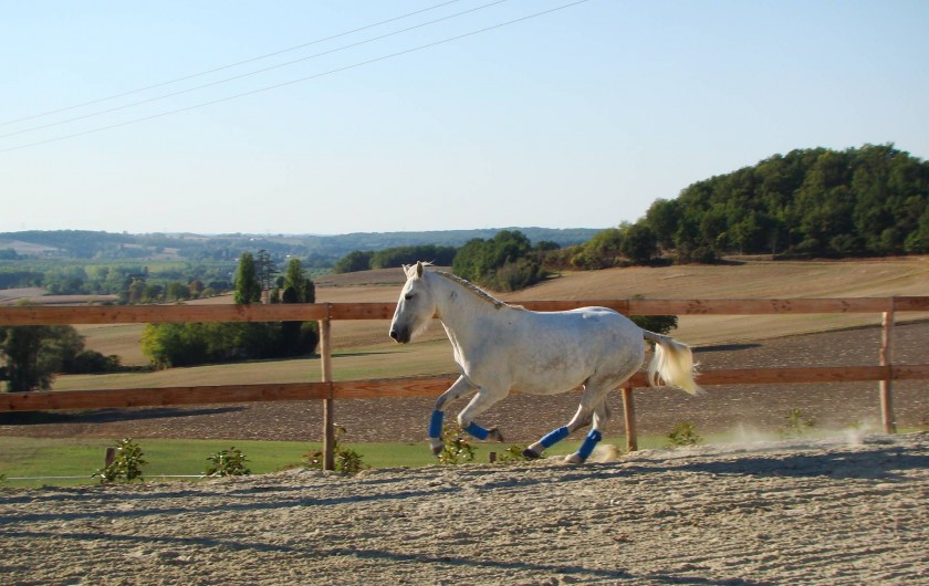 Location de vacances - Gîte à Brugnac - Ranch équestre sur le domaine