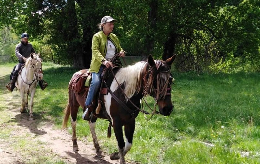Location de vacances - Gîte à Brugnac - Ranch equestre sur place