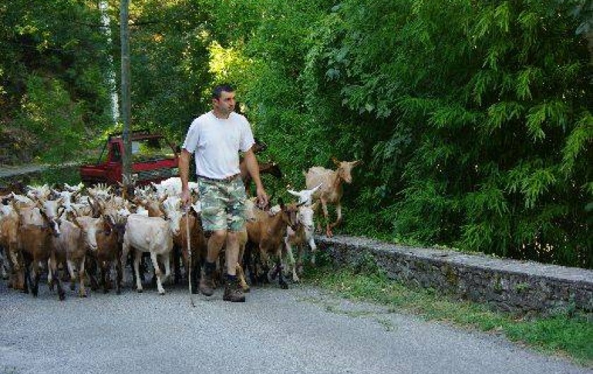 Location de vacances - Mas à Saint-André-de-Valborgne