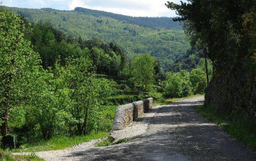 Location de vacances - Mas à Saint-André-de-Valborgne