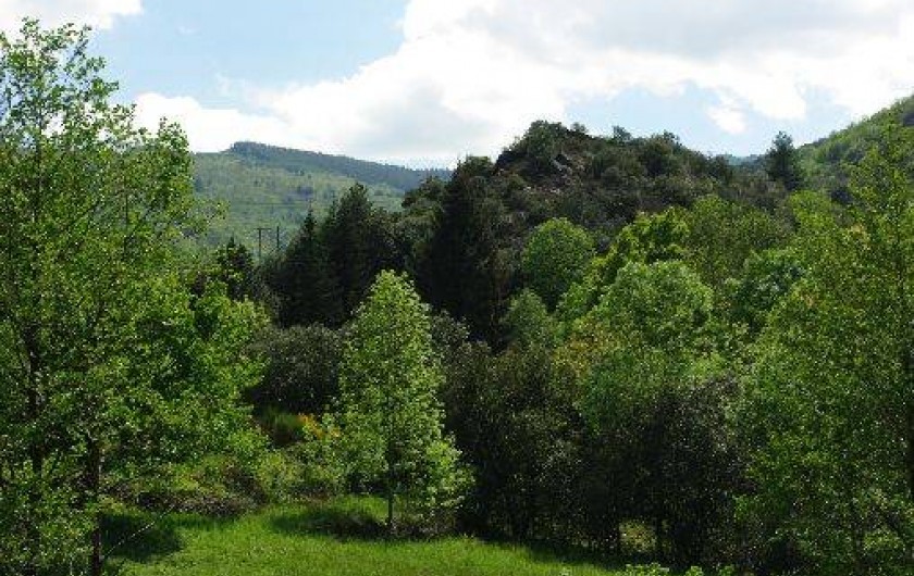Location de vacances - Mas à Saint-André-de-Valborgne